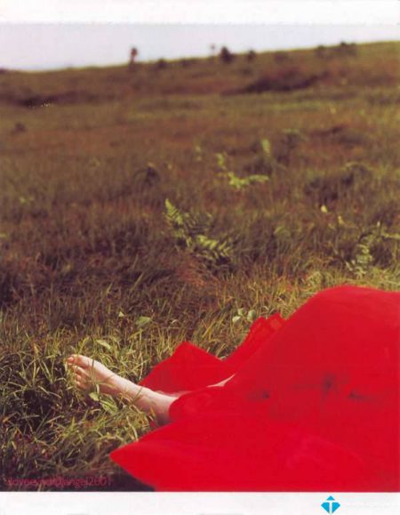 Love Cyndi 2000 – Triệu Vịnh Hoa[FLAC]