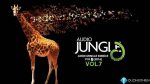 AudioJungle Bundle Vol. 7