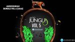 AudioJungle Bundle Vol. 5